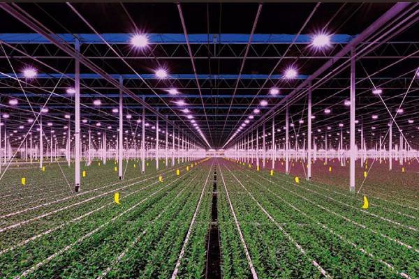 led pcb for agricultural lighting